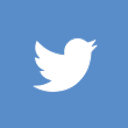 bird, new, square, twitter icon